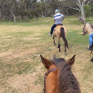 Meet your Posher, Bianca